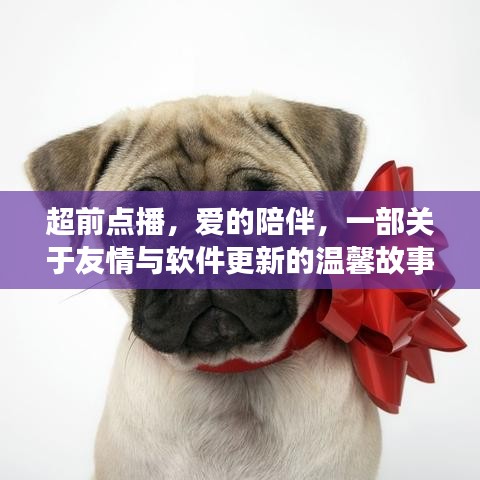 超前點播，友情與軟件更新的溫馨陪伴之旅