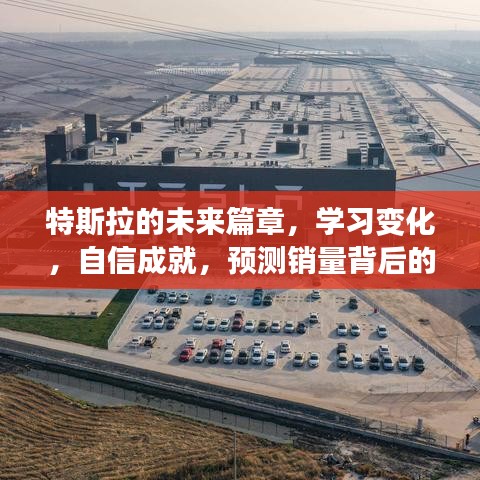 特斯拉未來展望，勵志故事中的學習、自信與銷量預測背后的成就