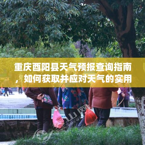 重慶酉陽縣天氣預(yù)報指南，獲取與應(yīng)對天氣的實用步驟