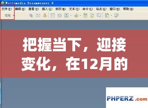 把握當下，迎接變化，DW導出實時視圖中尋找自信與成就之路