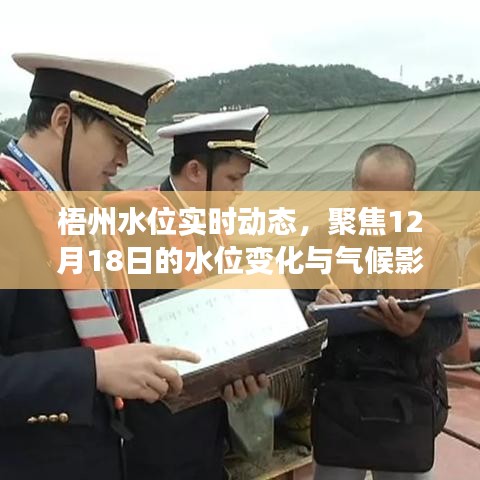 梧州水位實時動態，聚焦水位變化與氣候影響分析，12月18日最新更新