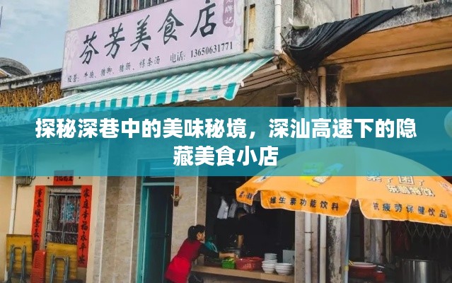 深巷美食秘境揭秘，深汕高速旁隱藏的美食小店探秘之旅