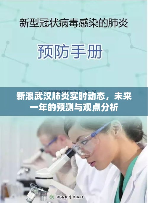 新浪武漢肺炎實時動態及未來一年預測與深度分析