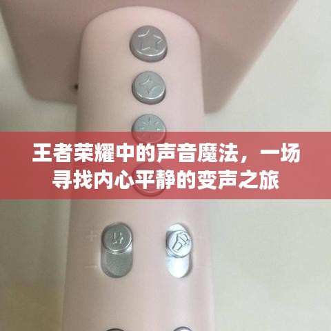 精雕細(xì)刻