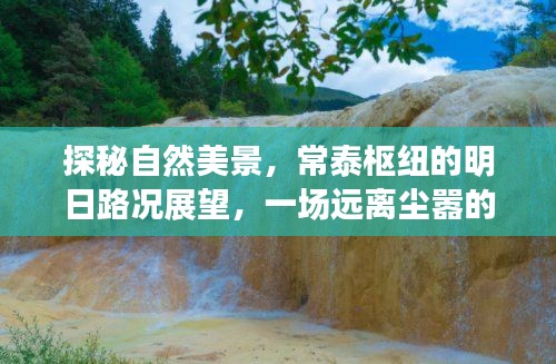 探秘自然美景與明日路況展望，常泰樞紐的心靈之旅