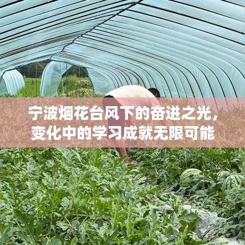 寧波煙花臺(tái)風(fēng)下的奮進(jìn)之光，變化中的學(xué)習(xí)引領(lǐng)無(wú)限可能