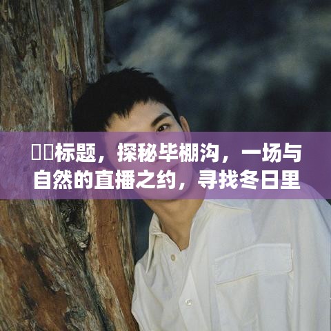 探秘畢棚溝，與自然共赴直播之約，尋覓冬日寧靜與樂趣