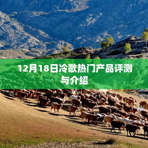 12月18日冷歌熱門產品全面評測與介紹