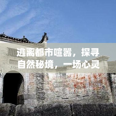 自然秘境探尋，心靈之旅的啟示與逃離都市喧囂的追尋