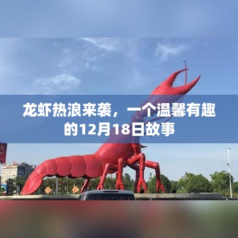 龍蝦熱浪遇溫情故事，12月18日的奇遇