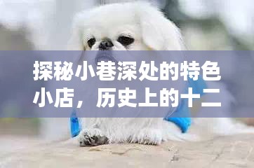 探秘小巷深處的特色小店，十二月十八日名狗大揭秘的歷史之旅
