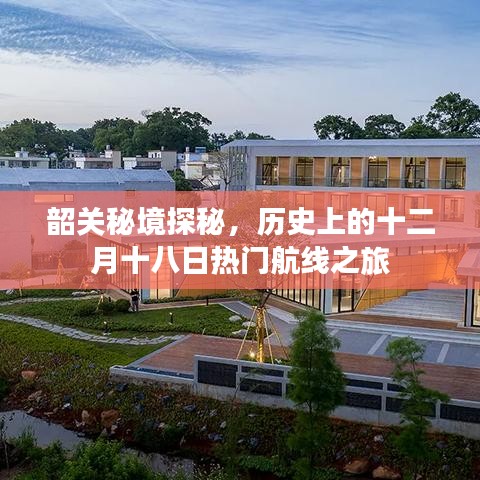 飛龍在天