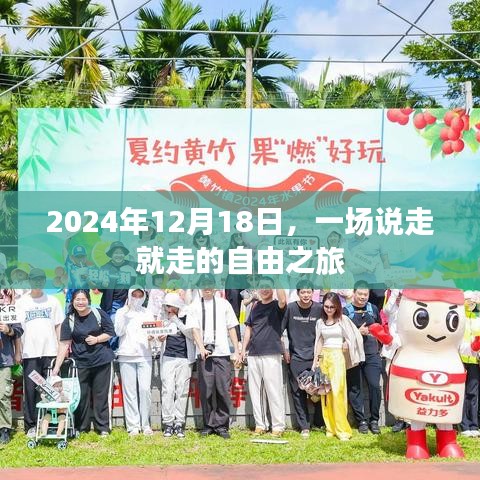 2024年12月18日，一場隨心所欲的自由之旅