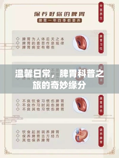 脾胃科普之旅，日常溫馨與奇妙的緣分探索