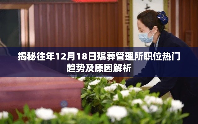 揭秘，歷年12月18日殯葬管理所職位熱門趨勢與原因深度解析