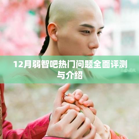 12月弱智吧熱門問題深度評測與詳解