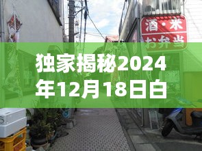 獨(dú)家揭秘，白廟小區(qū)隱藏瑰寶自由行攻略，巷弄深處獨(dú)特小店大揭秘（2024年12月18日必打卡指南）