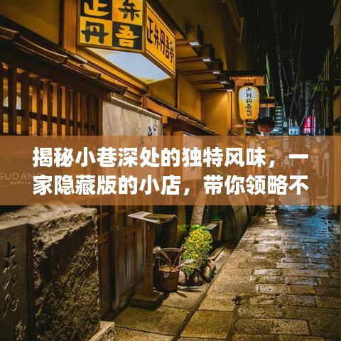 小巷深處的隱藏美食之旅，獨特風味小店大揭秘