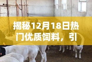 揭秘引領(lǐng)養(yǎng)殖業(yè)革新的優(yōu)質(zhì)飼料，引領(lǐng)潮流的革新之選（12月18日）