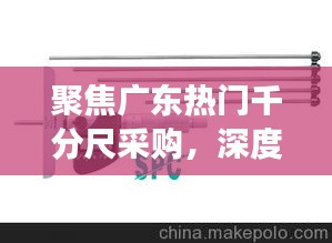 聚焦廣東熱門千分尺采購(gòu)深度解析與未來展望（2024年視角）