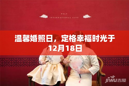 定格幸福時光，溫馨婚照日回顧，12月18日的美好瞬間