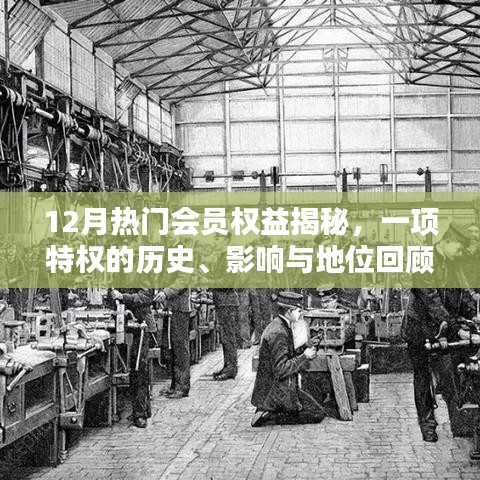 揭秘十二月會員特權，歷史回顧與影響地位剖析