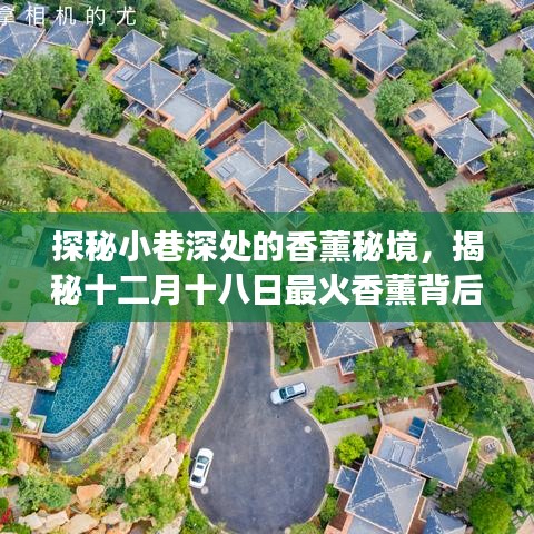 探秘小巷深處的香薰秘境，十二月十八日最火香薰背后的故事揭曉