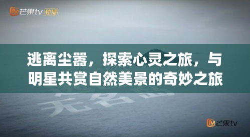 心靈啟程，與明星共賞自然美景的奇妙心靈之旅