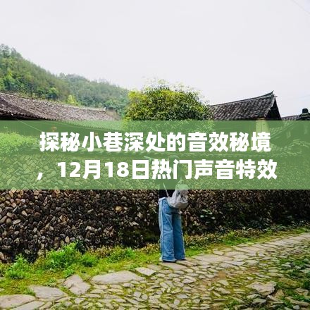 探秘小巷深處的音效秘境，熱門聲音特效之旅，12月18日開啟！