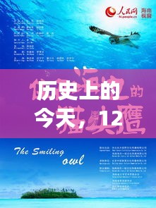 12月18日熱門視頻背后的勵志故事，變化的力量與自信的魔法之旅