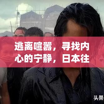 日本往年12月18日尋找內心寧靜的自然美景之旅