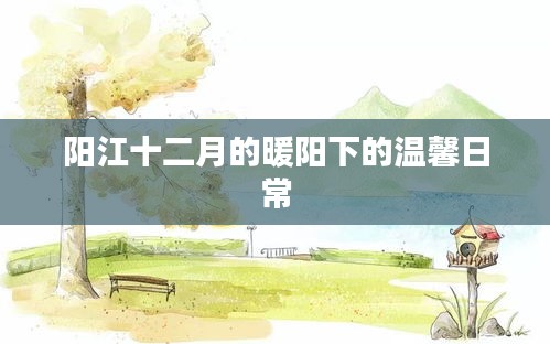 陽江十二月暖陽下的日常溫馨畫卷