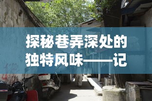 探秘巷弄深處的獨特風(fēng)味，小巷深處的特色小店美食之旅