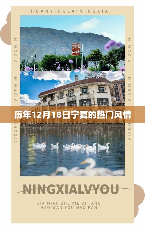歷年12月18日寧夏風情盛事概覽