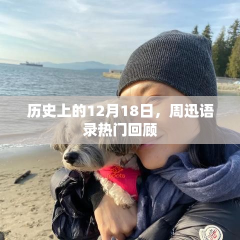 周迅語錄熱門回顧，歷史上的12月18日回顧