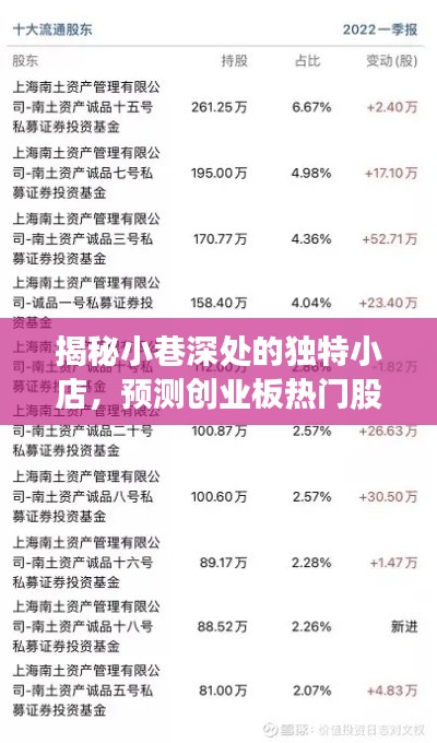 探索隱秘小巷的獨特小店，揭秘創(chuàng)業(yè)板未來熱門股票之星
