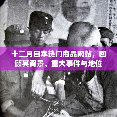 十二月日本熱門商品網(wǎng)站回顧，背景、重大事件與地位概覽