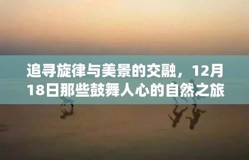 比張比李