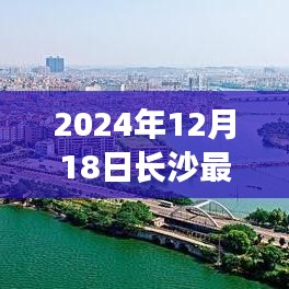 長沙熱門人才聚焦，人才發(fā)展與職業(yè)前景展望（2024年）