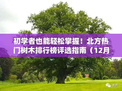焚膏繼晷