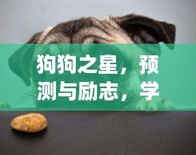 狗狗之星，預測與勵志之旅——學習變化的力量與自信成長之路