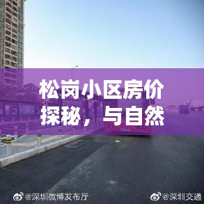 松崗小區房價揭秘，與自然美景共舞，探尋寧靜港灣的居住夢想