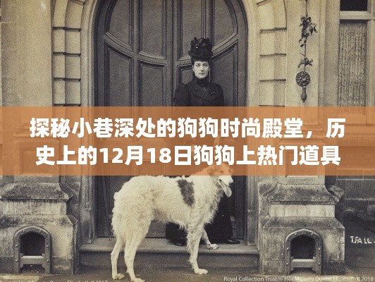探秘狗狗時(shí)尚殿堂，揭秘狗狗道具背后的故事與狗狗上熱門(mén)的歷史時(shí)刻