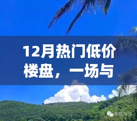 12月熱門低價樓盤，與自然美景的邂逅，探尋內心平和寧靜的居所