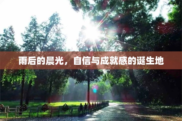 雨后的晨光，自信與成就感的源泉