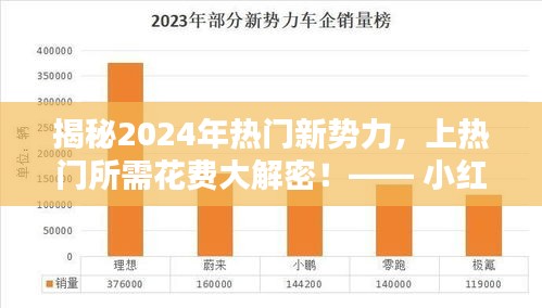 小紅書獨家揭秘，2024年新勢力熱門背后的花費大解密！