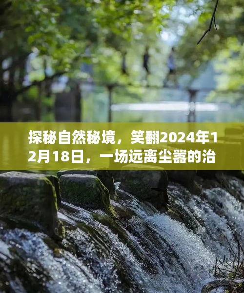 探秘自然秘境，遠(yuǎn)離塵囂的治愈之旅，笑翻2024年12月18日