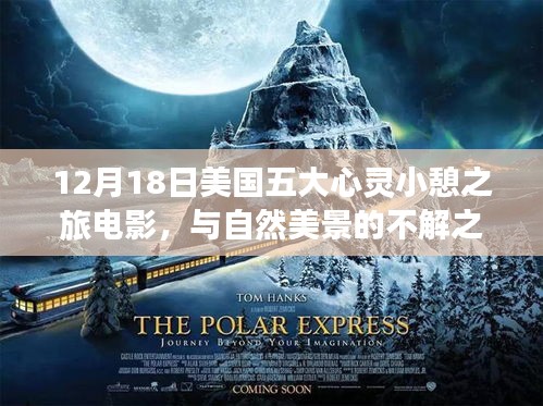 美國(guó)五大心靈小憩之旅電影，與自然美景的深情邂逅