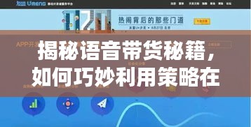 揭秘語音帶貨秘籍，引爆流量熱門策略揭秘！