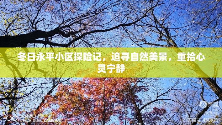冬日永平小區探險之旅，追尋自然美景，心靈寧靜的回歸